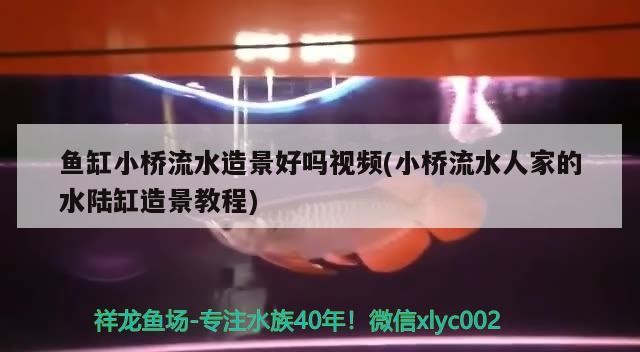 魚缸小橋流水造景好嗎視頻(小橋流水人家的水陸缸造景教程)