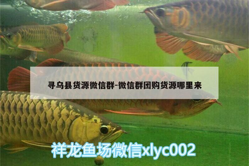 尋烏縣貨源微信群:微信群團購貨源哪里來