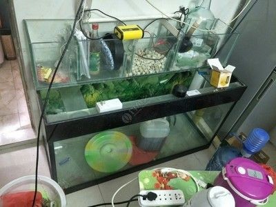 大魚缸構造：diy大型魚缸的創意與技巧diy大型魚缸的創意與技巧