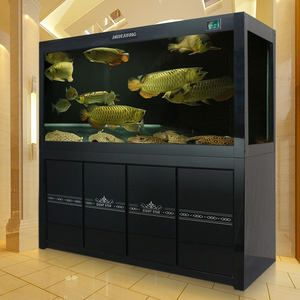 大魚缸構造：diy大型魚缸的創意與技巧diy大型魚缸的創意與技巧