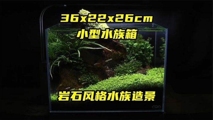 森森熱彎魚(yú)缸爆缸（森森的熱彎魚(yú)缸容易裂么）
