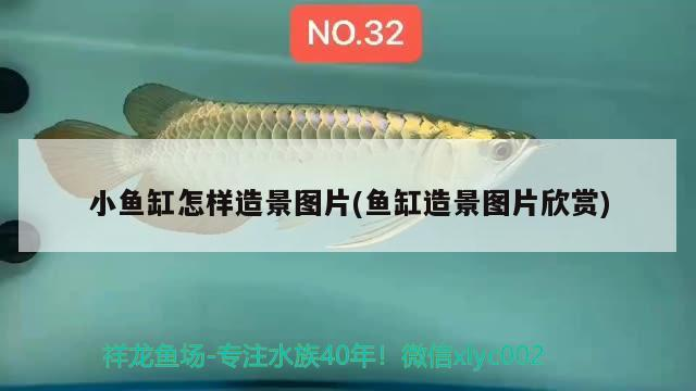 金魚缸壞了怎么修復圖解大全（如何清洗金魚缸）