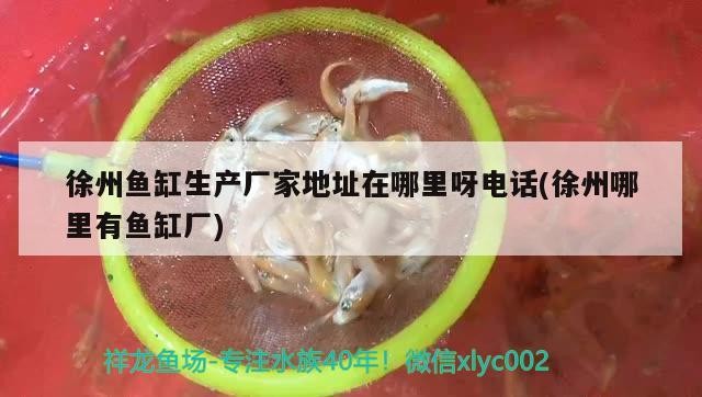 徐州魚缸生產(chǎn)廠家地址在哪里呀電話(徐州哪里有魚缸廠)