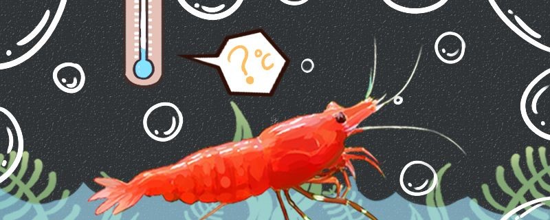觀賞魚飼料 配方（養冷水魚的飼料有哪些品種）