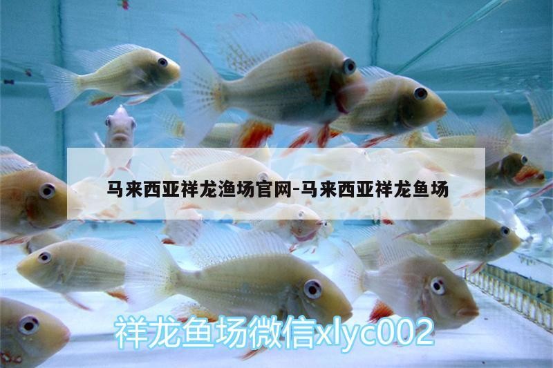 馬來西亞祥龍漁場官網(wǎng):馬來西亞祥龍魚場