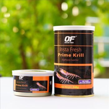 BD魟魚最佳飼料品牌推薦，bd魟魚最佳飼料品牌推薦