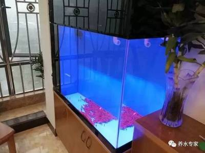 附近魚缸定做