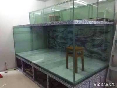 魟魚多大缸可以養(yǎng)一條：魟魚的飼養(yǎng)缸體選擇