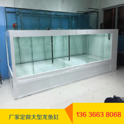魟魚多大缸可以養(yǎng)一條：魟魚的飼養(yǎng)缸體選擇