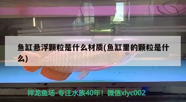 魚缸懸浮顆粒是什么材質(zhì)(魚缸里的顆粒是什么)