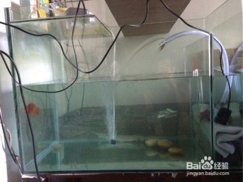 茅箭區天津路銘祥水族器材部
