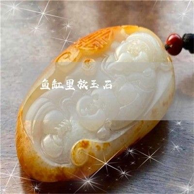把玉放魚缸里好嗎視頻：將玉放入魚缸有什么風險？