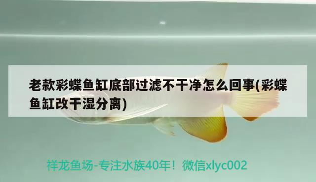 老款彩蝶魚缸底部過濾不干凈怎么回事(彩蝶魚缸改干濕分離)