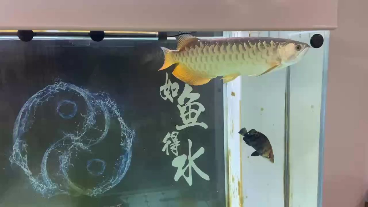 哥兩好