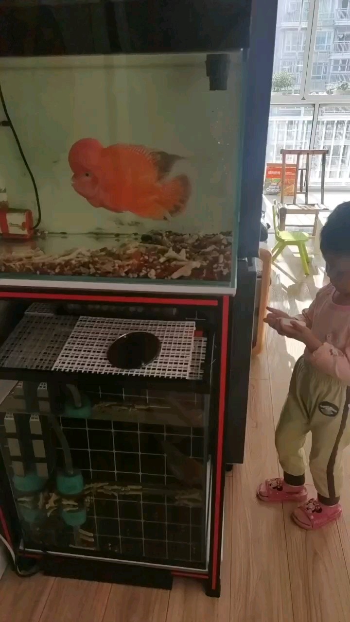 狂飆
