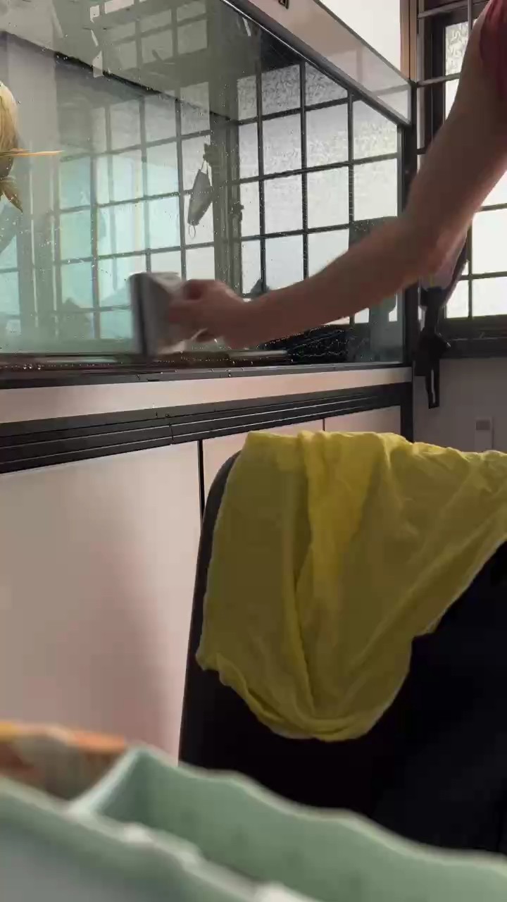 刷缸 換水 洗棉 也是一種養(yǎng)魚人的快樂吧