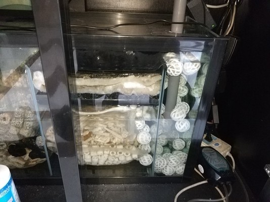 魚缸青苔怎么養長得好（魚缸青苔怎么養長得好些）
