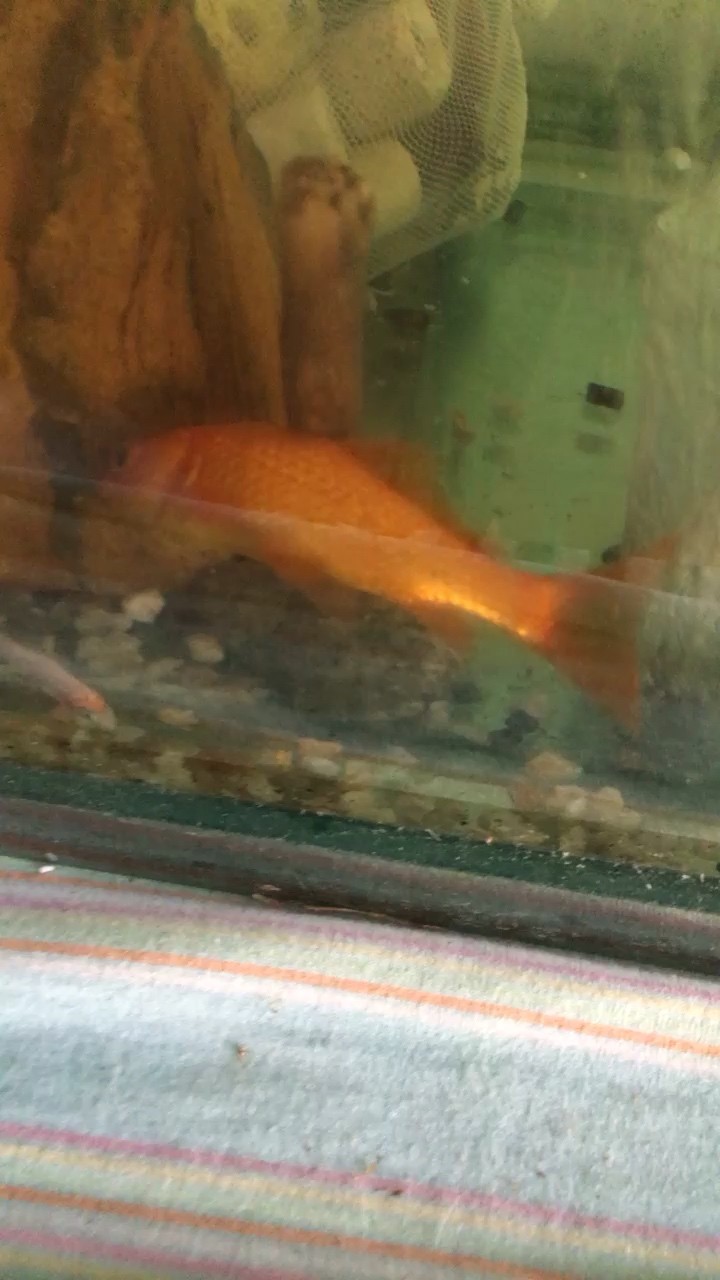 病因是啥