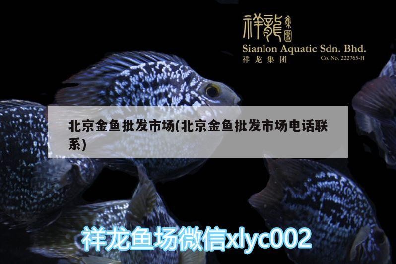 北京金魚批發(fā)市場(chǎng)(北京金魚批發(fā)市場(chǎng)電話聯(lián)系)