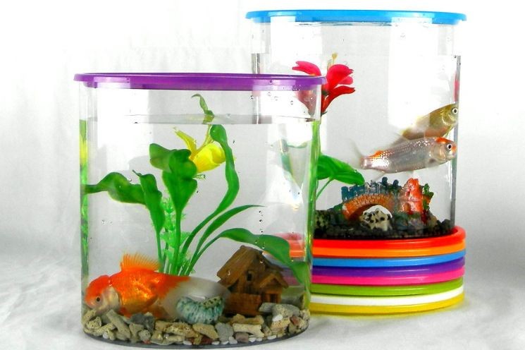 大塑料瓶如何做立體魚缸視頻教學：如何使用大塑料瓶制作立體魚缸