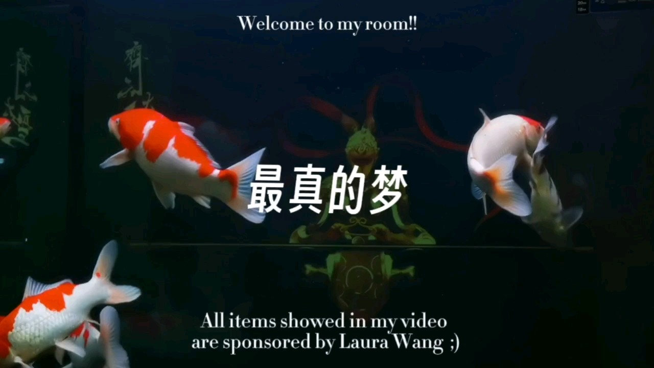 何以解憂？唯有…賞鯉