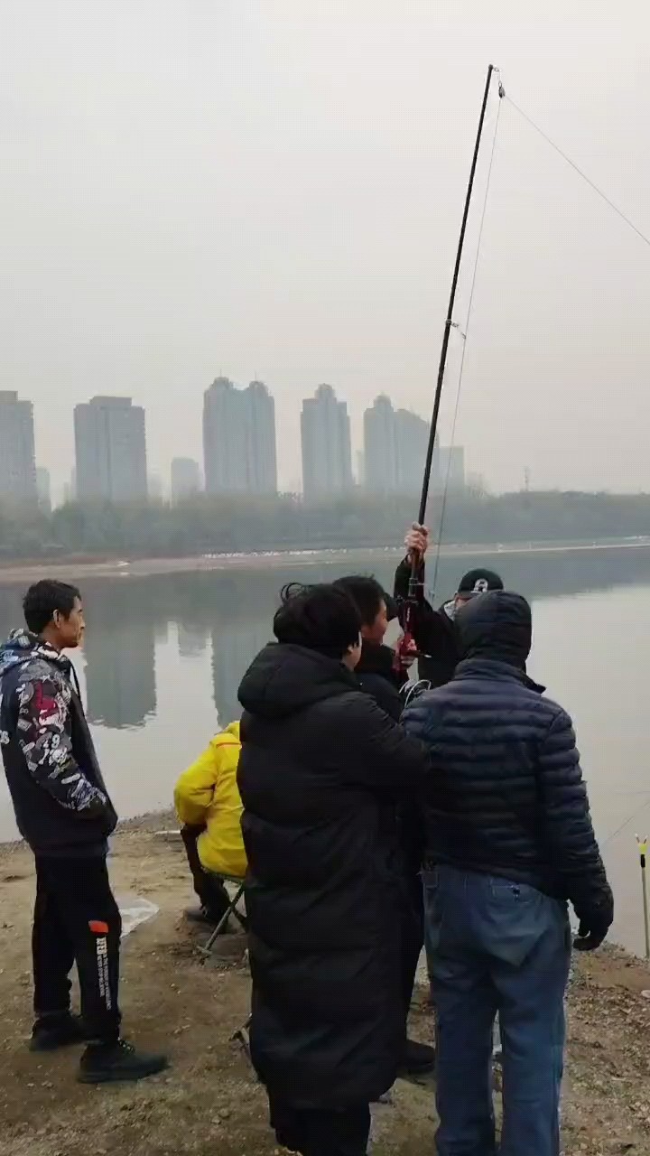 錨魚大哥二人組