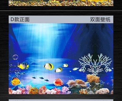 愛魚蓮魚缸背景客服：愛魚蓮魚缸背景圖設計和生產公司愛魚蓮魚缸背景定制