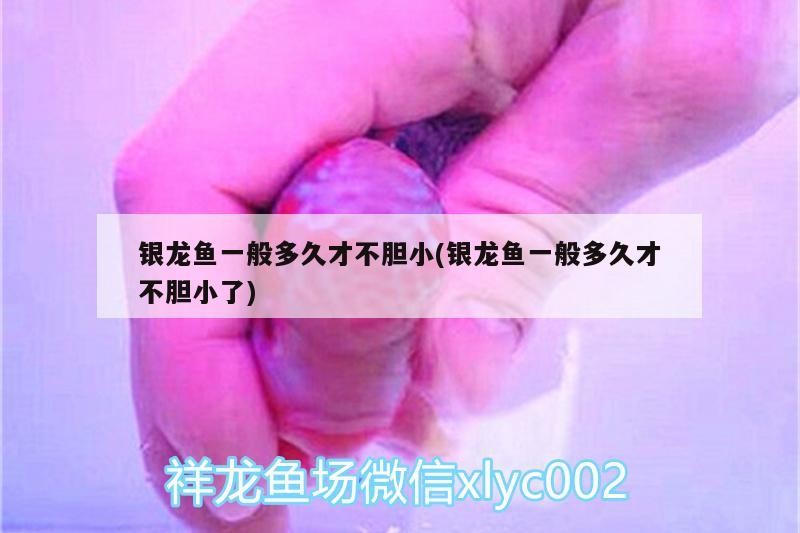 龍魚(yú)鰓蓋爛洞多久會(huì)死，如何預(yù)防龍魚(yú)鰓蓋爛洞？