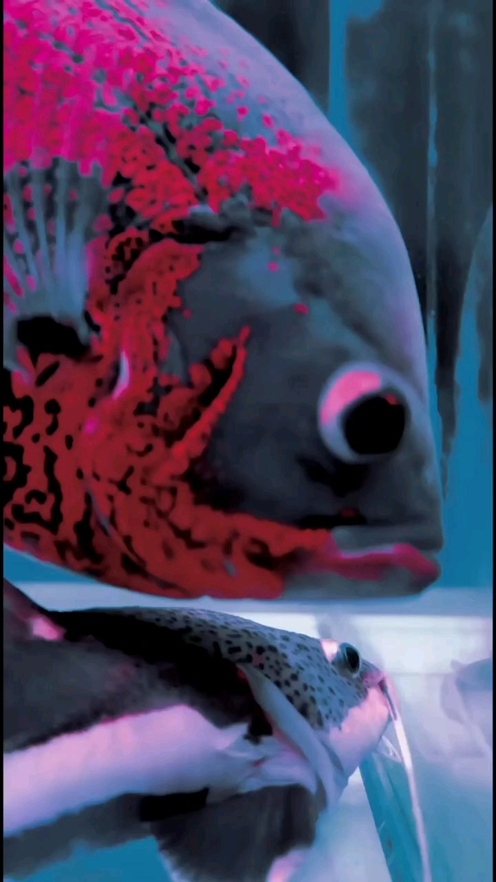 　　　?　　　　　　?