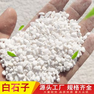 白玉石魚缸造景：白玉石魚缸造景的優(yōu)點和缺點