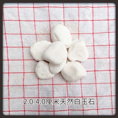 白玉石魚缸造景：白玉石魚缸造景的優(yōu)點和缺點