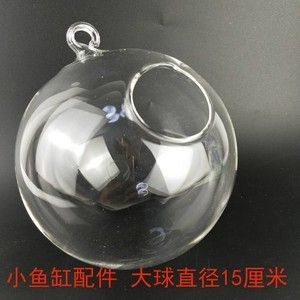 茶色玻璃魚缸養魚：茶色玻璃魚缸養魚的注意事項