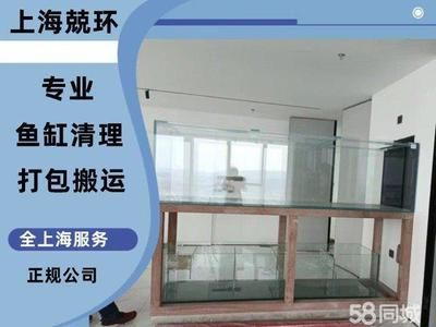 1.5米魚缸怎么搬運上樓的：1.5米的魚缸怎么搬運上樓的