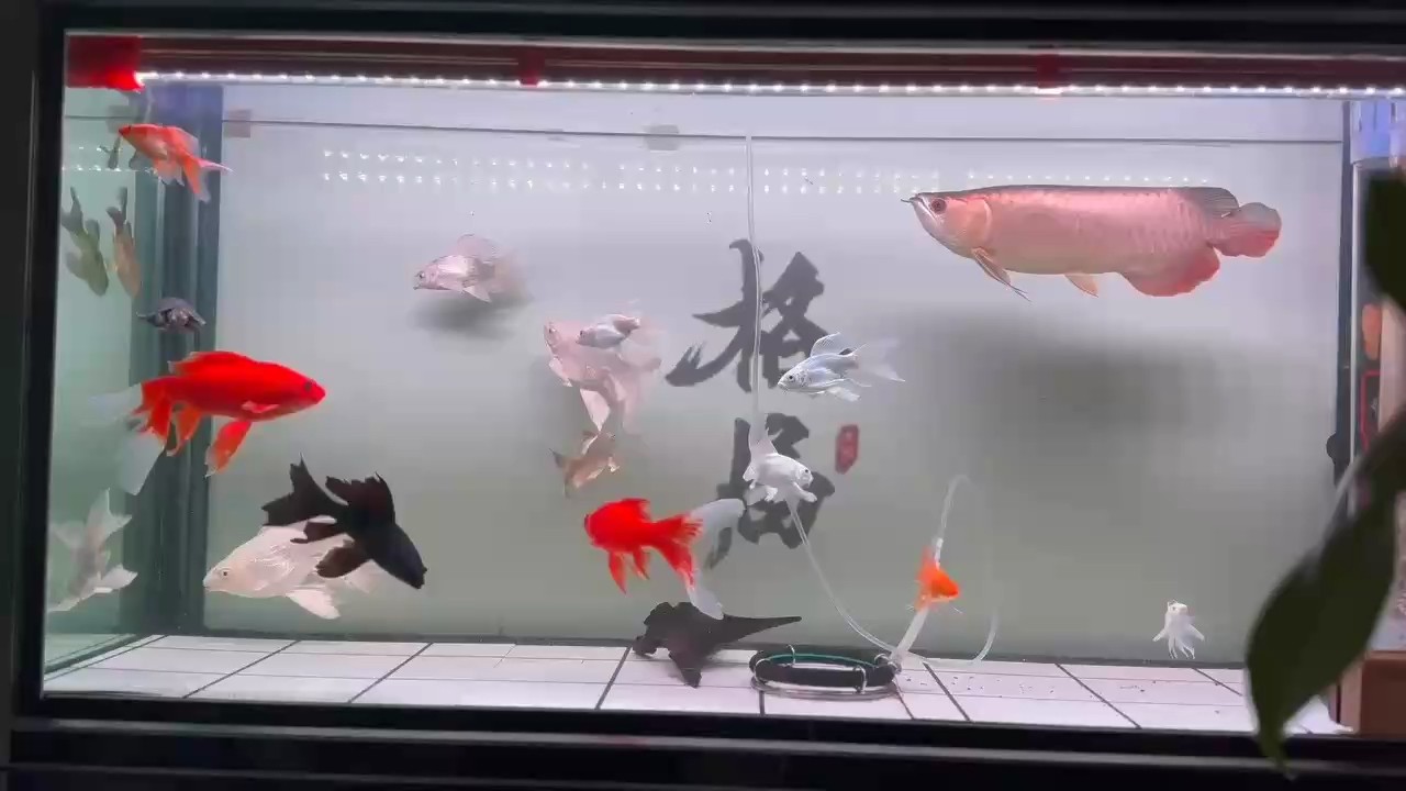 換配??