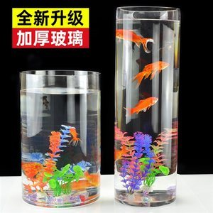奉節縣溢洋水族館（奉節縣溢洋水族館電話）