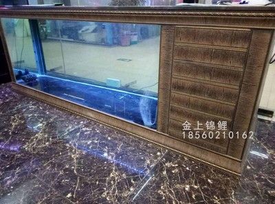 多大魚缸養錦鯉
