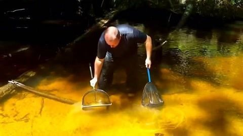 魟魚飼料中蛋白質含量標準，魟魚飼料中的蛋白質含量標準[需手動填充]魚飼料蛋白質含量標準