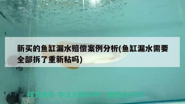 新買的魚缸漏水賠償案例分析(魚缸漏水需要全部拆了重新粘嗎)