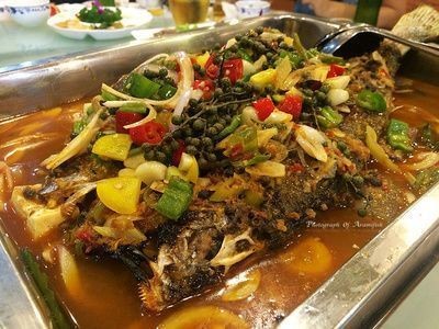 純血皇冠黑白魟魚繁殖技巧，如何鑒別純血皇冠黑白魟魚性別，純血皇冠黑白魟魚繁殖后管理