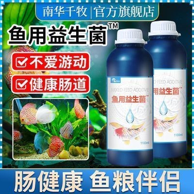 大型魚缸清潔魚：大型魚缸清潔魚的種類和作用和作用和作用和作用 大型魚缸清潔魚：大型魚缸清潔魚的種類和作用和作用和作用和作用 魚缸百科 第1張