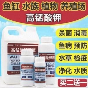 大型魚缸清潔魚：大型魚缸清潔魚的種類和作用和作用和作用和作用 大型魚缸清潔魚：大型魚缸清潔魚的種類和作用和作用和作用和作用 魚缸百科 第3張