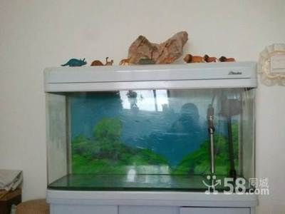 森森牌魚缸的玻璃是鋼化的嗎