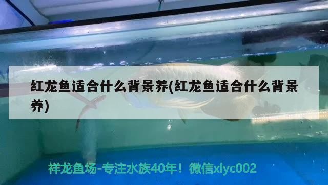 鞍山市觀賞魚交易中心營業(yè)時(shí)間查詢電話