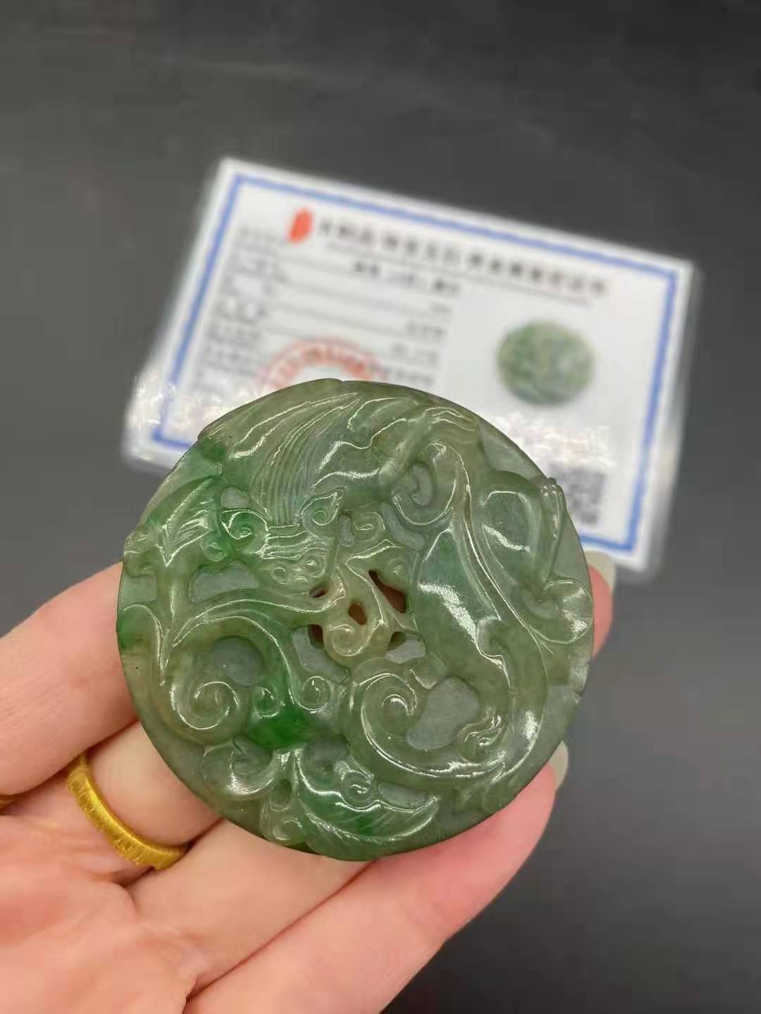 銀龍魚分幾個品種(銀魚有幾個品種)