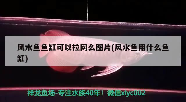 福龍王經(jīng)典再現(xiàn)