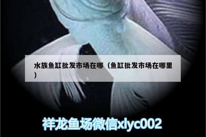 水族魚缸批發(fā)市場(chǎng)在哪（魚缸批發(fā)市場(chǎng)在哪里）