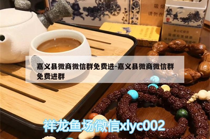 嘉義縣微商微信群免費進:嘉義縣微商微信群免費進群