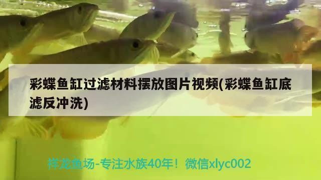 魚缸晾干后還會有細菌嗎（魚缸晾干后還會有細菌嗎為什么）