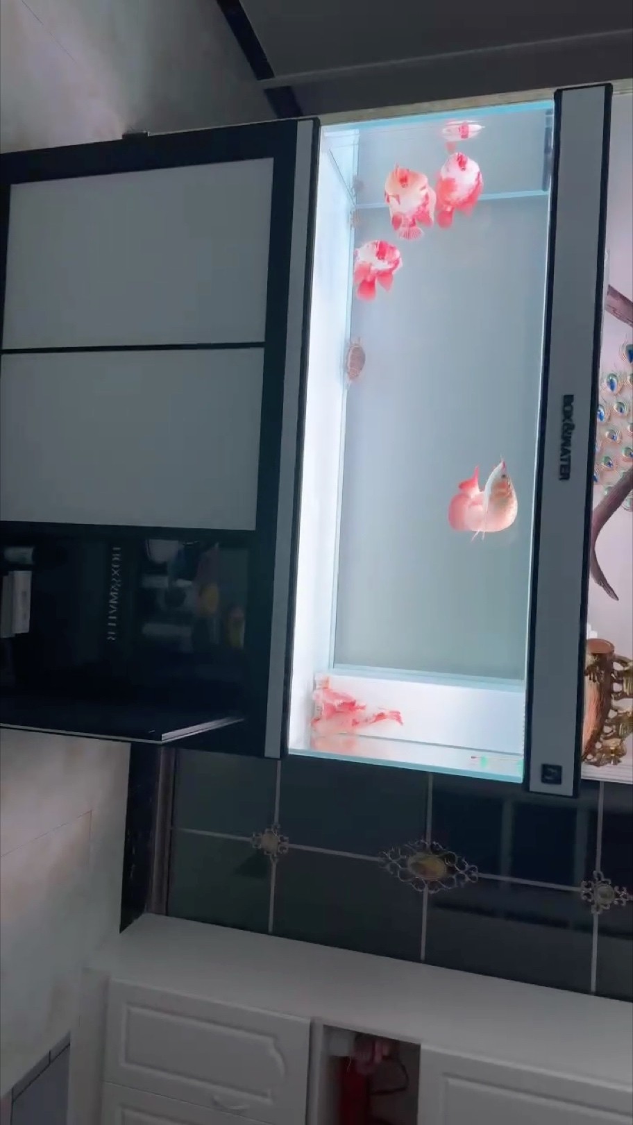 好看不