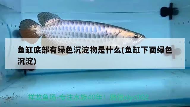森森hqj700g怎么增氧（森森hqj700g增氧怎么關上）